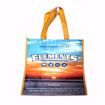ELEMENTS REUSABLE BAG